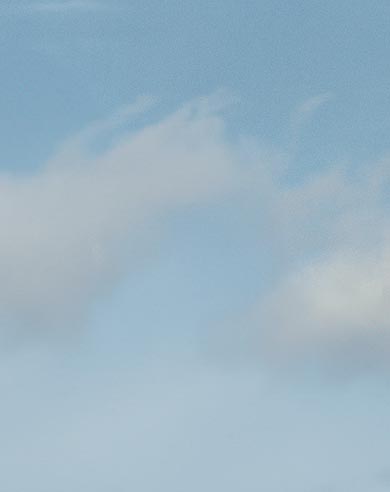 PVH Corporate Responsibility Report